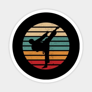 Karate Kick Retro Sun Karate Fighter Magnet